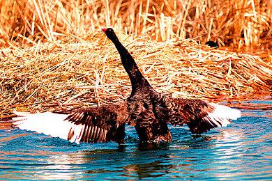 《心渊梦境》免费DLC月末上线 制作人对谈五十岚孝司
