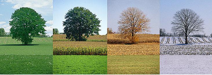 《安东炸弹》NS版发布更新补丁 将帧率提升为60fps